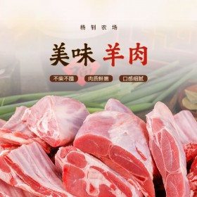 【楊釗農場】生態(tài)羊肉 生態(tài)散養(yǎng) 農家養(yǎng)殖直銷無添加