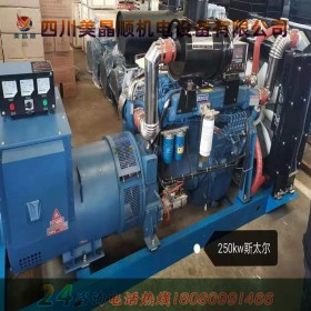 250KW 濰柴發(fā)電機 濰坊發(fā)電機組 濰坊柴油發(fā)電機組沃爾康動力 廠家報價