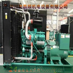 通柴300KW通柴柴油發(fā)電機(jī)組 全銅無(wú)刷柴油發(fā)電機(jī) 工廠 學(xué)校 水電工程等備用發(fā)電機(jī) 廠家定制批發(fā)