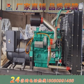 100KW濰柴動力柴油發(fā)電機組 高原專用 全國聯(lián)保 售后無憂 廠家直銷