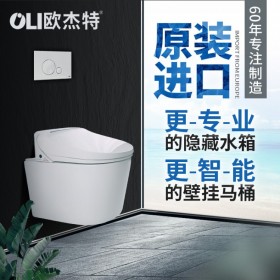 進(jìn)口馬桶水箱OLI74Plus SIMFLEX MECHANIC隱藏水箱隱蔽式水箱