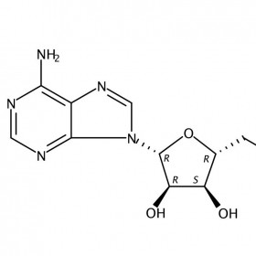 煙酰胺腺嘌呤二核苷酸維克奇生物實(shí)驗(yàn)室自制優(yōu)質(zhì)中藥對(duì)照品