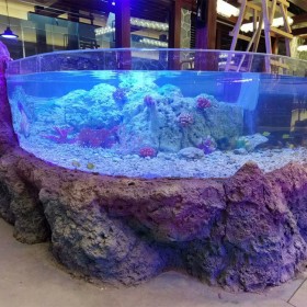 戲浪亞克力隧道 亞克力水族館 亞克力工程 設(shè)計(jì)海洋館 工程海洋館