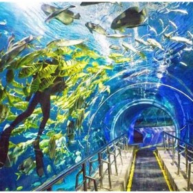 四川戲浪海洋館方案設(shè)計(jì) 水族館設(shè)計(jì)施工 海洋館工程建造