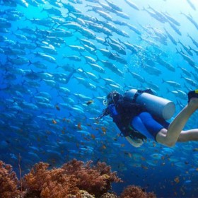 大魚缸定做 別墅大水族箱定制 海洋館設(shè)計(jì) 戲浪海景