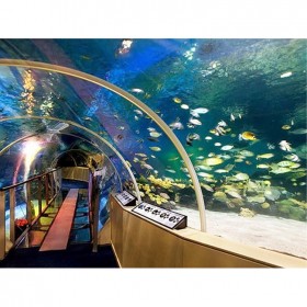 大型異形亞克力魚缸定做廠 海洋館設計 水族館改建 觀賞亞克力水族箱定制 批發(fā)