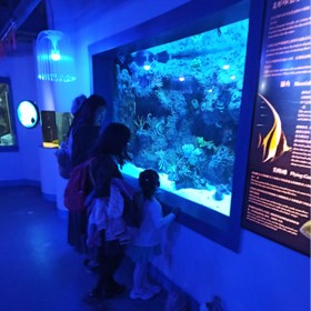 亞克力大魚缸定制 海洋館設計亞克力魚缸 承接海洋館工程施工圖紙