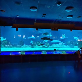 云南海洋世界設計與建造 水族館工程修建 大魚缸定做廠