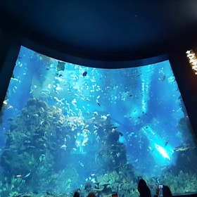 四川戲浪海洋主題餐廳設計與施工 水族館修建工程商