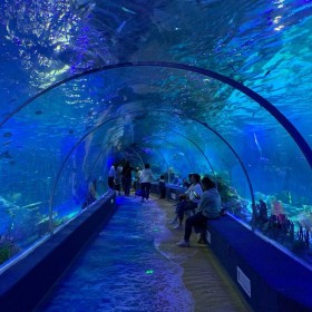 四川大型水族箱魚缸設計安裝 海洋館施工設計  海洋館運營海洋館規(guī)劃戲浪