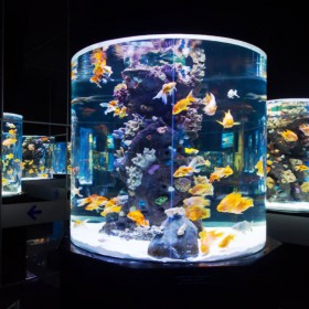 海洋館設(shè)計(jì) 施工水族館 大型魚缸定做 有機(jī)玻璃泳池