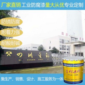 各色定制重防腐工業(yè)油漆鋼結(jié)構(gòu)廠房耐酸堿鹽水性無機富鋅漆