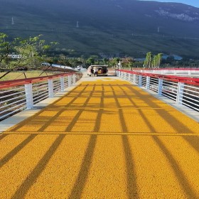 重慶 彩色生態(tài)透水地坪 無砂透水混凝土 車行道透水路面 詢價