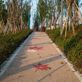 伊寧市 透水混凝土罩面劑 透水道路鋪裝 彩色混凝土路面 造價評估