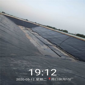 四川廠家直銷hdpe防滲膜 沼氣池土工膜 垃圾填埋場(chǎng)防滲膜 礦堆場(chǎng)覆蓋膜