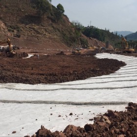 成都天然鈉基膨潤土防水毯   四川天然鈉基膨潤土防水毯  四川景觀湖專用防水毯 四川國標景觀湖專用防水毯