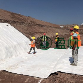 盈帆牌廠家直銷 人工湖防水毯  垃圾填埋場 達到國家標(biāo)準