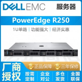 成都戴爾服務(wù)器DELL PowerEdge R250機(jī)架式服務(wù)器15代新款按需定制