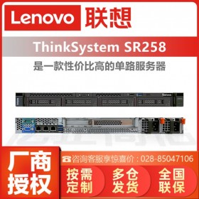 聯(lián)想Lenovo ThinkSystem SR258/SR250 機(jī)架式服務(wù)器存儲備份/ERP軟件主機(jī)