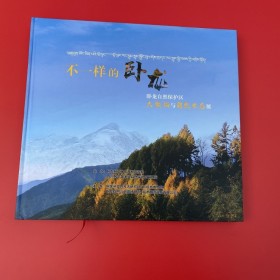 成都昇華印務(wù) 精裝版景區(qū)宣傳畫冊定制 硬殼外包裝宣傳冊