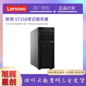 聯想ST258/ST250 4U塔式服務器主機 中小型企業(yè)ERP財務系統數據庫備份SQL文件打印管理