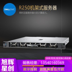 四川戴爾DELL服務器金牌服務商_PowerEdge R250 實現數據價值的機架式服務器