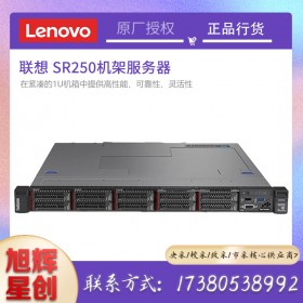 高性能計算 (HPC) 服務器_1U機架式安裝服務器_聯(lián)想（Lenovo）SR250企業(yè)級服務器成都報價