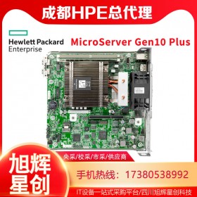 MicroServer Gen10 Plus家庭主機(jī)塔式服務(wù)器報價_HPE服務(wù)器