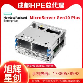 成都塔式服務(wù)器總代理_HPE MicroServer Gen10 Plus單路入門級(jí)流量服務(wù)器