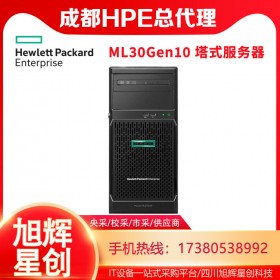 惠普（HP）HPE ML30GEN10塔式服務(wù)器主機(jī)(替代ML30 GEN9)4個(gè)LFF熱插拔硬盤位 至強(qiáng)E-2224四核3.4G CPU主機(jī) 8G內(nèi)存+1塊2TB硬盤