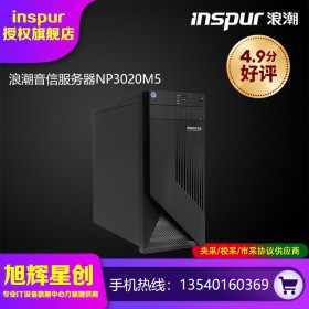 浪潮（INSPUR）NP3020M5小型塔式服務器主機 至強2224/16GB/2TB SATA企業(yè)級/300W冷電/DVD刻錄/三年質(zhì)保