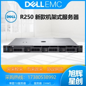 成都DELL戴爾服務(wù)器代理商_戴爾（DELL）R250服務(wù)器 新一代1U機(jī)架式ERP數(shù)據(jù)庫文件存儲(chǔ)郵件辦公