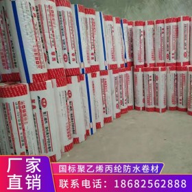 國標300g 400g聚乙烯防水卷材 陽臺衛(wèi)生間國標丙綸布