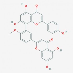 白果雙黃酮 白果素 Bilobetin 521-32-4 對(duì)照品|標(biāo)準(zhǔn)品