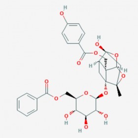 苯甲酰氧化芍藥苷 Benzoyloxypaeoniflorin 72896-40-3 對照品|標(biāo)準(zhǔn)品