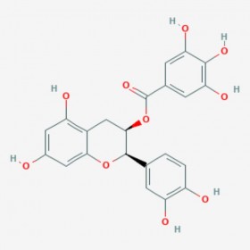 表兒茶素沒食子酸酯 (-)-Epicatechin-3-gallate ECG 標(biāo)準(zhǔn)品|對照品