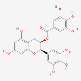 表沒食子兒茶素沒食子酸酯 (?)-Epigallocatechin gallate 標(biāo)準(zhǔn)品|對照品