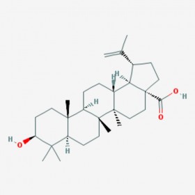 表白樺脂酸 3-表樺木酸 3-Epibetulinic acid  標(biāo)準(zhǔn)品|對照品