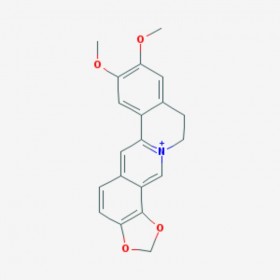 表小檗堿 Epiberberine 6873-09-2 對(duì)照品|標(biāo)準(zhǔn)品