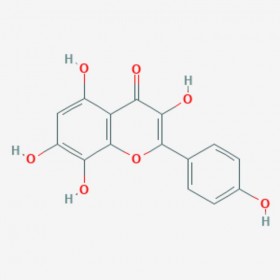 草質(zhì)素 草棉黃素 527-95-7 Herbacetin 標準品|對照品