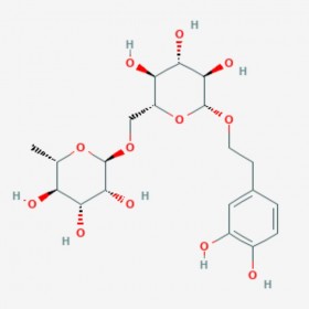 連翹酯苷E 去咖啡?；B翹酯苷A Forsythoside E 93675-88-8