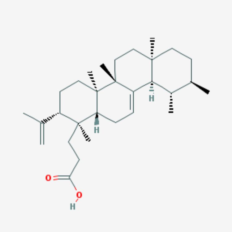 櫟櫻酸