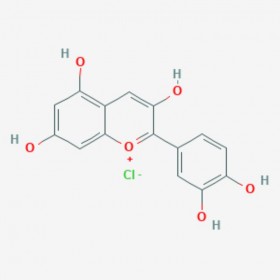 氯化矢車菊素 花青素 Cyanidin Chloride 528-58-5