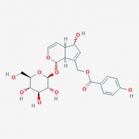 慧花牡荊苷 穗花牡荊苷 Agnuside 11027-63-7