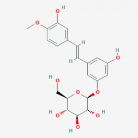 土大黃苷 Rhapontin 155-58-8