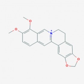 小檗堿 黃連素 Berberine  2086-83-1