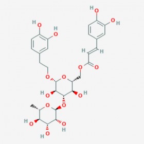 異類葉升麻苷 異麥角甾苷 異毛蕊花糖苷 Isoacteoside 61303-13-7