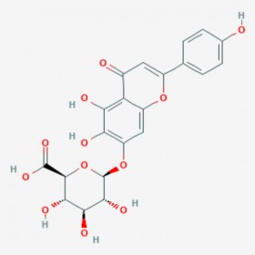 野黃芩苷 野黃芩甙 燈盞花乙素 Scutellarin 27740-01-8