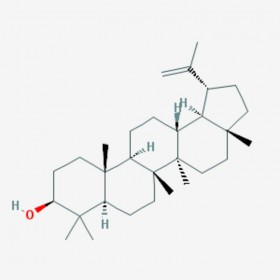 羽扇豆醇 羽扇醇 Lupeol Fagarasterol 545-47-1