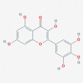 楊梅素 楊梅黃酮 Myricetin  529-44-2